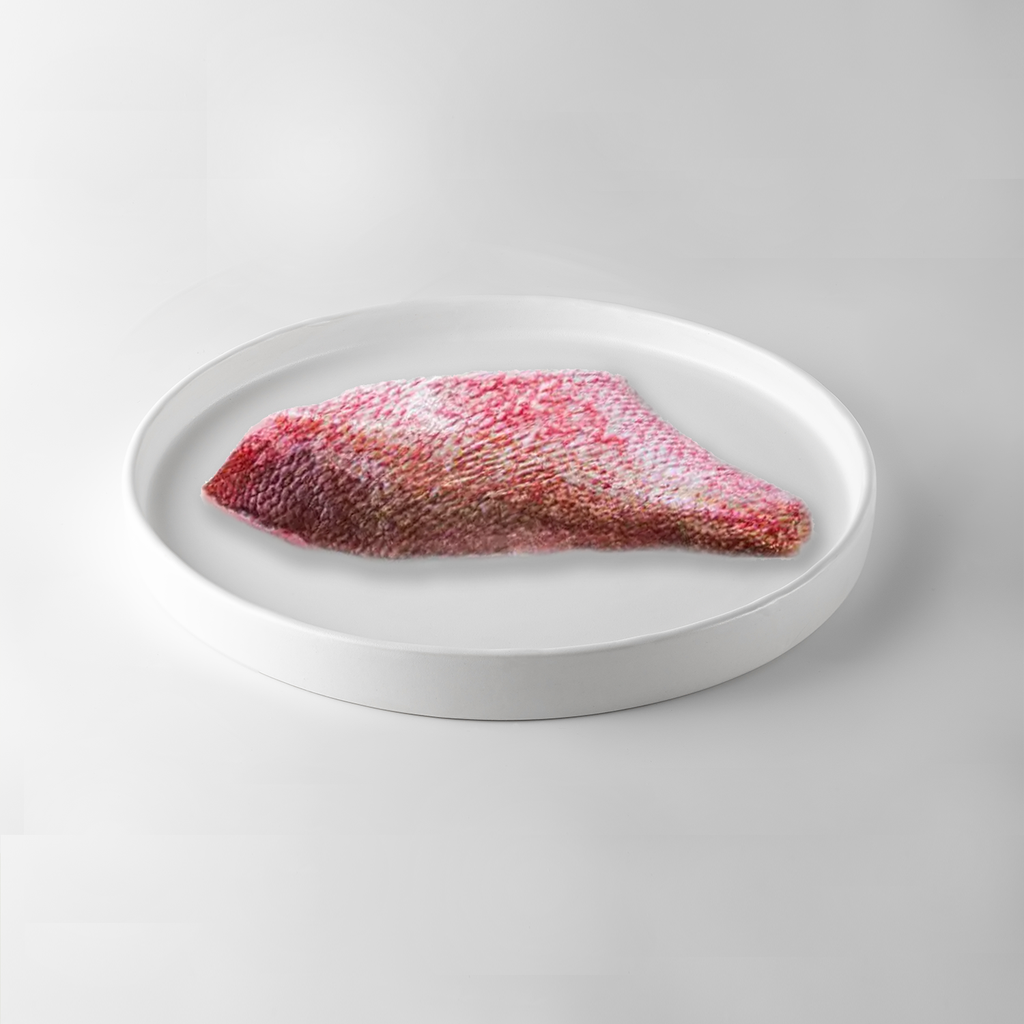 Red Snapper Fillet