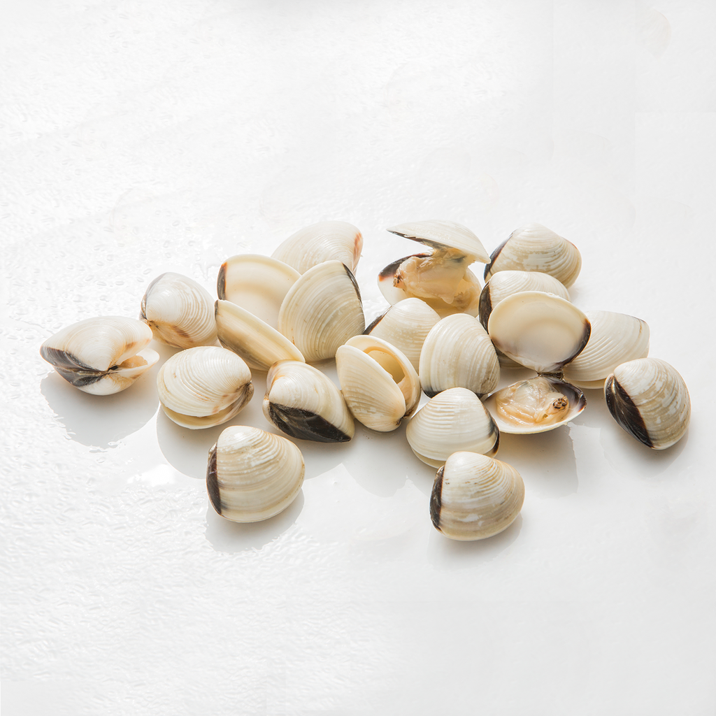 Clams