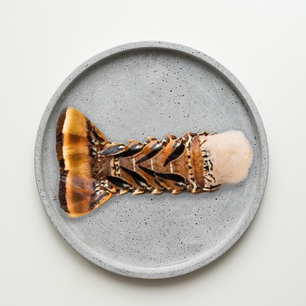 Lobster Tail (6oz)