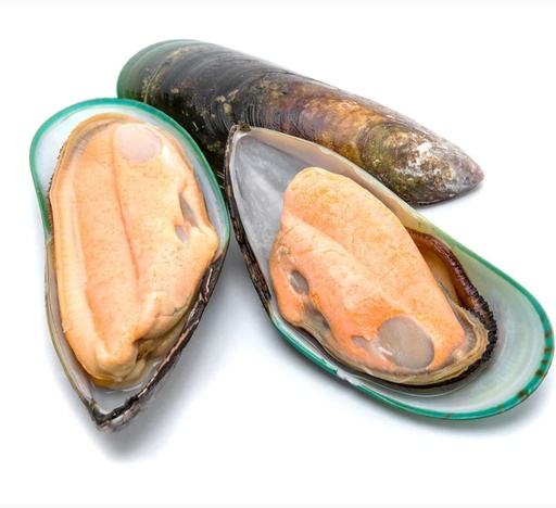 Green Half Shell Mussel New Zealand