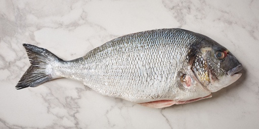 Whole Seabream (Dorada)