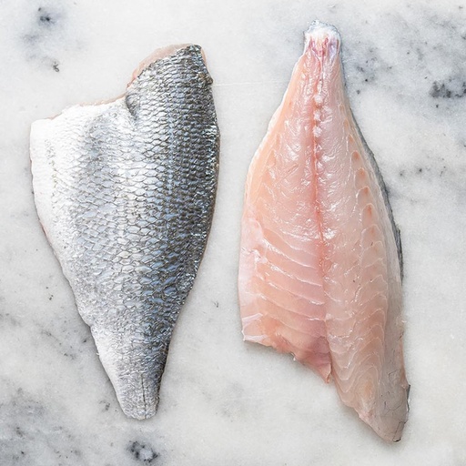 Seabream Fillet (Dorada) (Units)